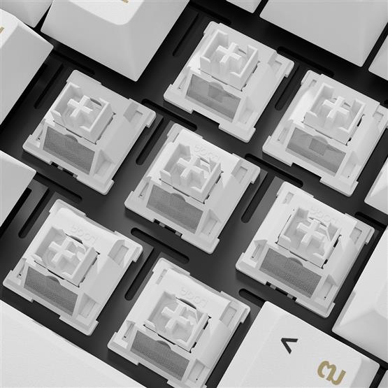 LOGA 35 MECHANICAL SWITCHES : นมสด > Linear SILENT