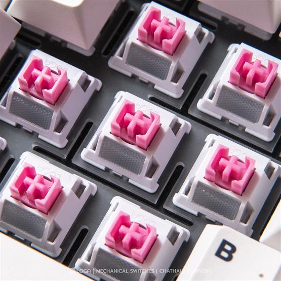 LOGA 35 MECHANICAL SWITCHES :นมเย็น > Linear