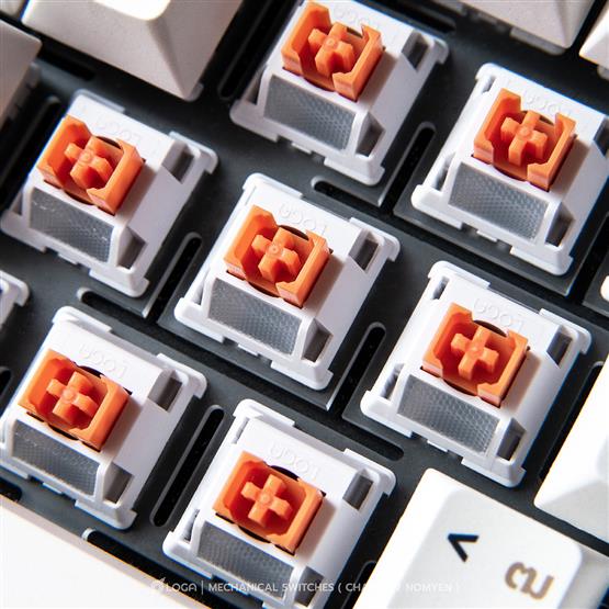 LOGA 35 MECHANICAL SWITCHES : ชาไทย > Tactile