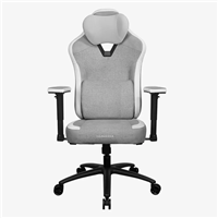 Thunderx3 EAZE LOFT ERGONOMICS GAMING CHAIRS / Grey