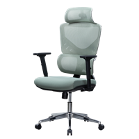 Nubwo Ergonomic Regen Series NXRG05 / Green